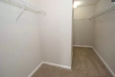 125 Baltic Court, Chapin, SC 29036 - Photo 25