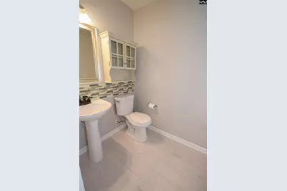 125 Baltic Court, Chapin, SC 29036 - Photo 49