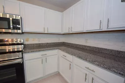 125 Baltic Court, Chapin, SC 29036 - Photo 17