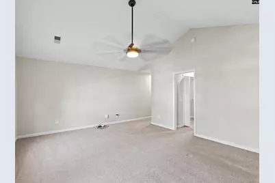 117 Peregrine Court, Chapin, SC 29036 - Photo 15