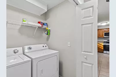 117 Peregrine Court, Chapin, SC 29036 - Photo 11
