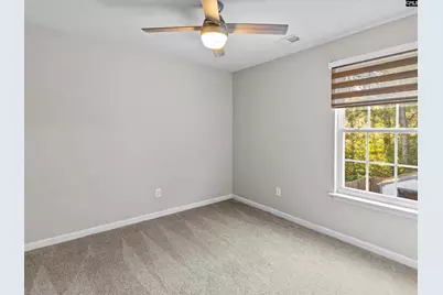 117 Peregrine Court, Chapin, SC 29036 - Photo 21