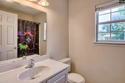 113 Wingspan Way, Chapin, SC 29036 - Photo 29