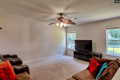 113 Wingspan Way, Chapin, SC 29036 - Photo 19