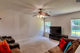 113 Wingspan Way, Chapin, SC 29036 - Photo 19