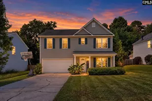 113 Wingspan Way, Chapin, SC 29036 - Photo 1