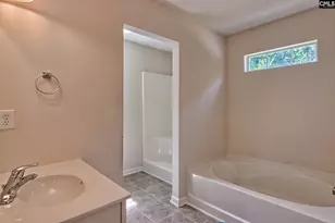 113 Wingspan Way, Chapin, SC 29036 - Photo 25