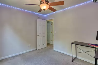 113 Wingspan Way, Chapin, SC 29036 - Photo 31