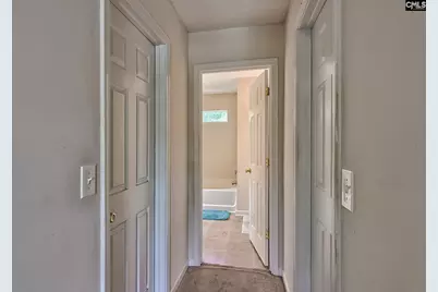 113 Wingspan Way, Chapin, SC 29036 - Photo 13