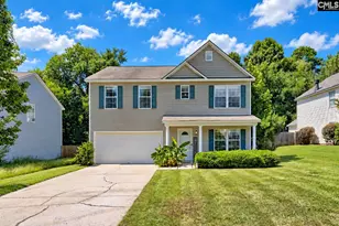 113 Wingspan Way, Chapin, SC 29036 - Photo 3