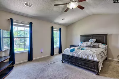 113 Wingspan Way, Chapin, SC 29036 - Photo 9
