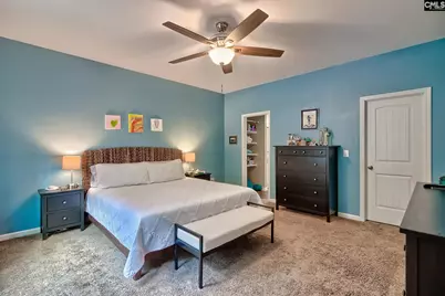 329 Dolly Horn Lane, Chapin, SC 29036 - Photo 19