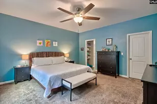 329 Dolly Horn Ln, Chapin, SC 29036 - Photo 19