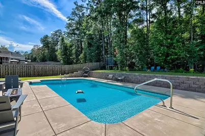 329 Dolly Horn Lane, Chapin, SC 29036 - Photo 3