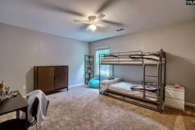 329 Dolly Horn Lane, Chapin, SC 29036 - Photo 33
