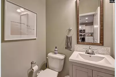329 Dolly Horn Lane, Chapin, SC 29036 - Photo 41