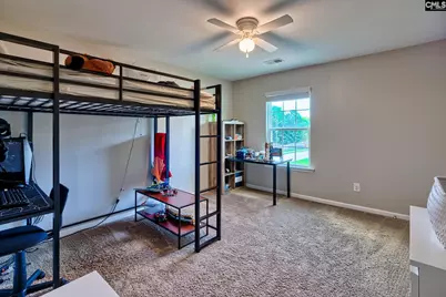 329 Dolly Horn Lane, Chapin, SC 29036 - Photo 39