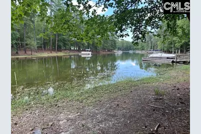 110 John Long Road, Gilbert, SC 29054 - Photo 1