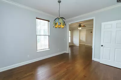 421 Dutchman Shores Circle, Chapin, SC 29036 - Photo 11