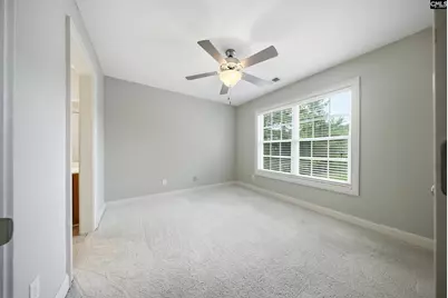 31 Clay Court, Chapin, SC 29036 - Photo 39