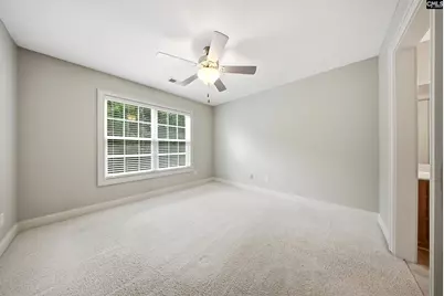 31 Clay Court, Chapin, SC 29036 - Photo 41