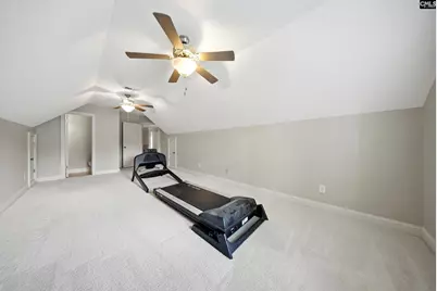 31 Clay Court, Chapin, SC 29036 - Photo 49