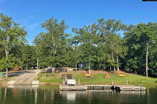 31 Clay Ct, Chapin, SC 29036 - Photo 71