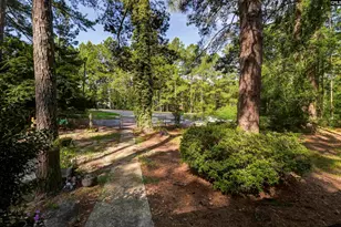 133 Sunset Strip, Elgin, SC 29045 - Photo 7