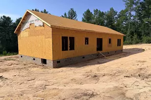 333 Tarpon Rd, Batesburg, SC 29006 - Photo 3