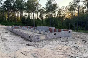 317 Tarpon Rd, Batesburg, SC 29006 - Photo 7