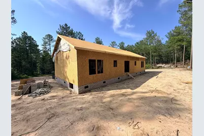 317 Tarpon Road, Batesburg, SC 29006 - Photo 29