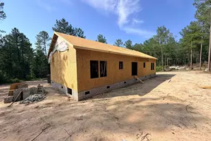 317 Tarpon Rd, Batesburg, SC 29006 - Photo 29