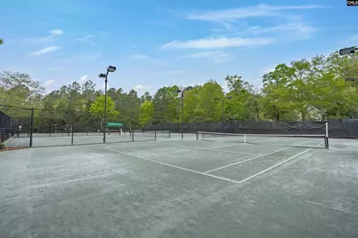 204 October Glory Drive, Blythewood, SC 29016 - Photo 57
