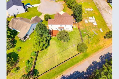 316 Turkey Beard Court, Chapin, SC 29036 - Photo 47