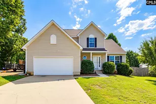 316 Turkey Beard Ct, Chapin, SC 29036 - Photo 1