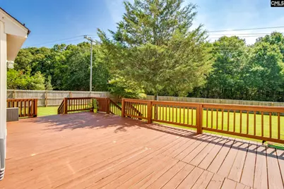 316 Turkey Beard Court, Chapin, SC 29036 - Photo 39