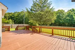 316 Turkey Beard Ct, Chapin, SC 29036 - Photo 39