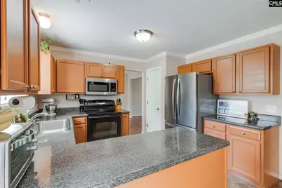 316 Turkey Beard Court, Chapin, SC 29036 - Photo 7