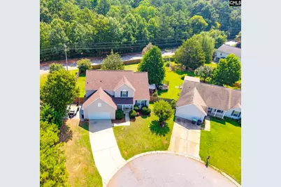 316 Turkey Beard Court, Chapin, SC 29036 - Photo 45