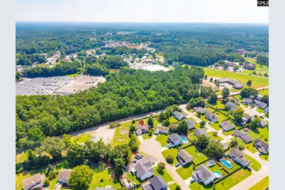 316 Turkey Beard Court, Chapin, SC 29036 - Photo 49