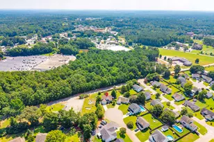 316 Turkey Beard Ct, Chapin, SC 29036 - Photo 49