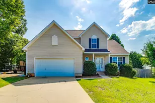 316 Turkey Beard Ct, Chapin, SC 29036 - Photo 1