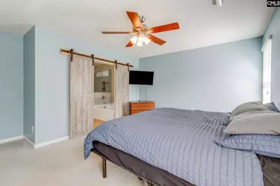 316 Turkey Beard Court, Chapin, SC 29036 - Photo 13