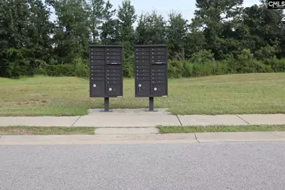 114 Tall Pines Drive, Gaston, SC 29053 - Photo 3