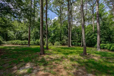 209 Brookside Lane, Elgin, SC 29045 - Photo 31
