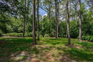 209 Brookside Ln, Elgin, SC 29045 - Photo 31