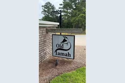 222 Boseman Road, Irmo, SC 29063 - Photo 5