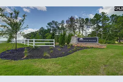 283 Livingston Woods Drive, Irmo, SC 29063 - Photo 33