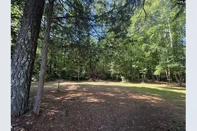 12541 Broad River Road, Little Mountain, SC 29075 - Photo 17