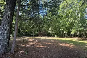 12541 Broad River Rd, Little Mountain, SC 29075 - Photo 17